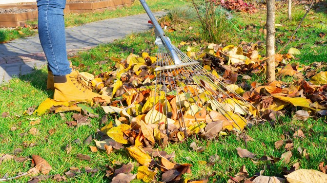 "Novembar topao i vedar, malo blagoslova za narednu godinu"