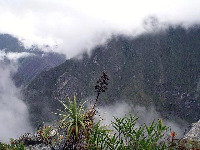 Galeria Peru - Machu Picchu "Zaginione Miasto Inków", obrazek 30