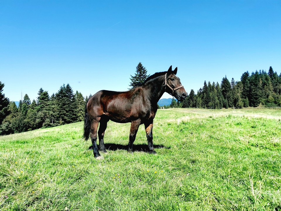 Pieniny we wrześniu