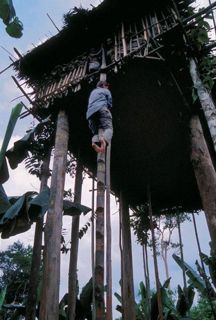 Galeria Indonezja - Papua, obrazek 14