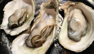 Oysters have some aphrodisiac properties [EatSomethingSexy]