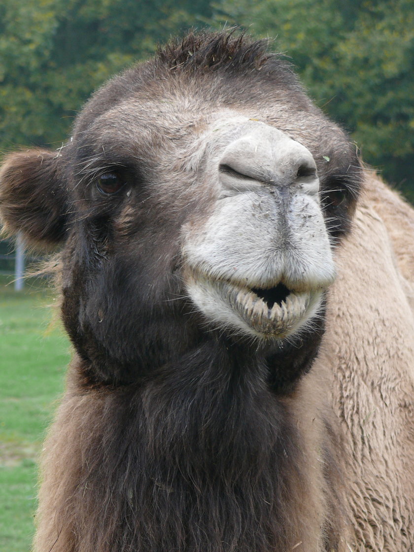 Weekendowe atrakcje w poznańskim Zoo