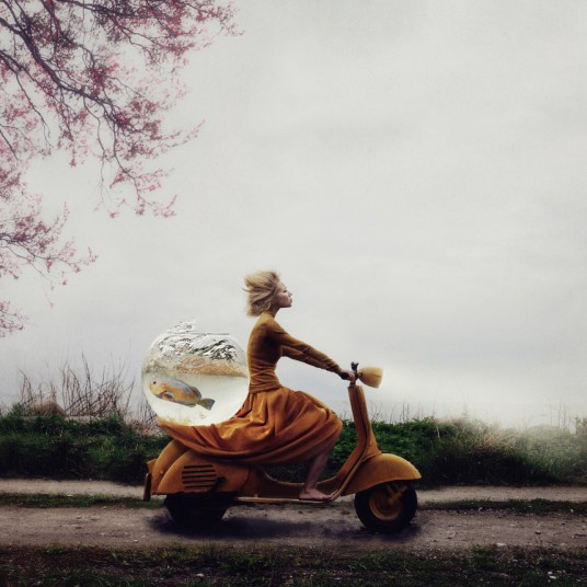 Kylli Sparre/2014 Sony Photographic Awards