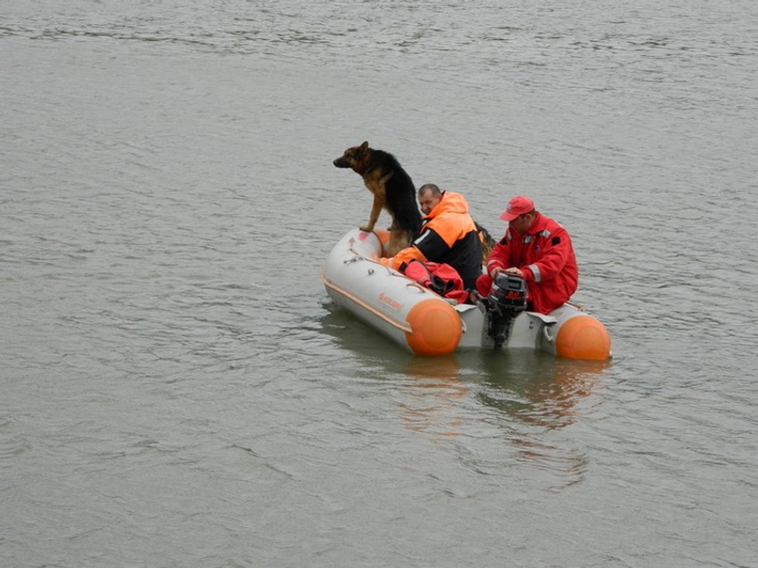 Senta - U potrazi za telom Barbare Vitez psi tragaci
