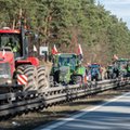 Rywalizacja polskiego rolnictwa z ukraińskim nieunikniona. Eksperci nie mają złudzeń