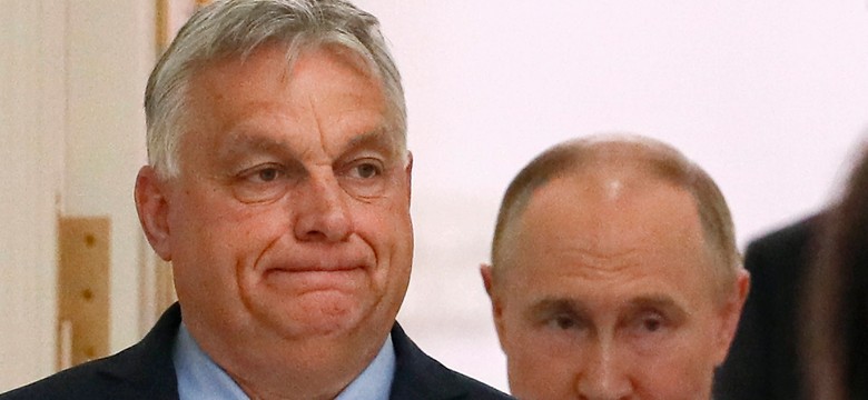 "Orban jak rzecznik Putina". Mocne słowa ekspertki