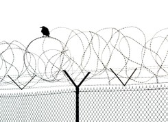 FSB planuje budowę ogrodzenia między Krymem i Ukrainą