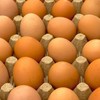 Jaja imaju prirodnu zaštitu - tanki sloj na ljusci koji sprečava prodor bakterija