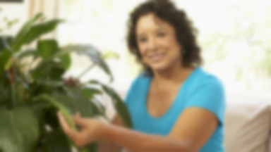 Rośliny kontra menopauza