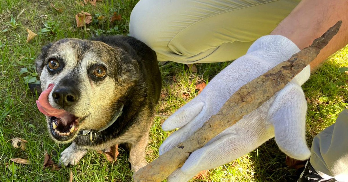 Ten pies węszył w trawie. To, co znalazł, zadziwiło nawet archeologów
