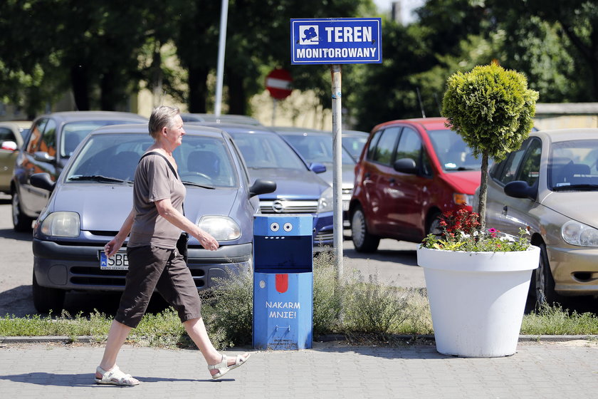 Donice na ulicach Siemianowic Śląskich