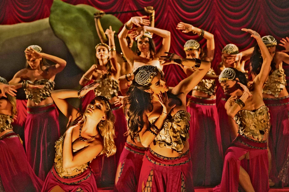 Spoj opere i mjuzikla