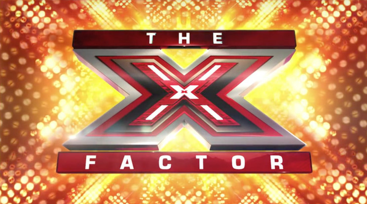 Az X-Factor mentora komoly balesetet szenvedett / Fotó: Wikipaedia