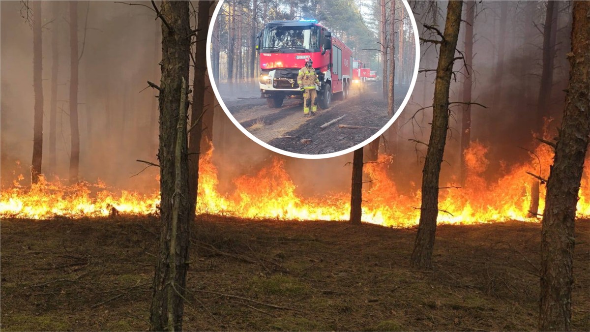 Ogień rozszalał się w Wielkopolsce. Drony i samoloty na pomoc