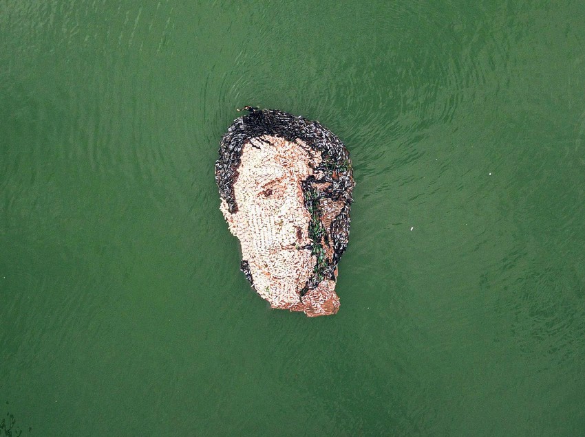 Jovan memedović, portret, Pijanista