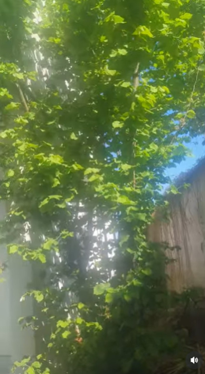 Zorica Marković pokazala imanje