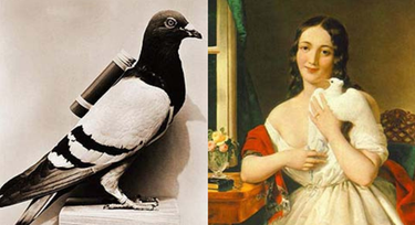 How early humans used birds to send messages