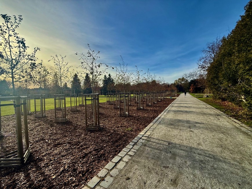 Ogrody Szczytnickie to także nowe alejki spacerowe