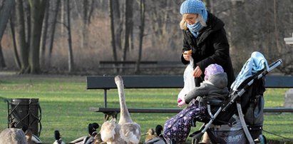 Pogoda piękna, a wszyscy chorują