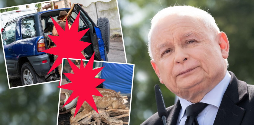 Tego Kaczyński nie zobaczył w Połajewie. W popłochu chowali eksponaty przed prezesem!