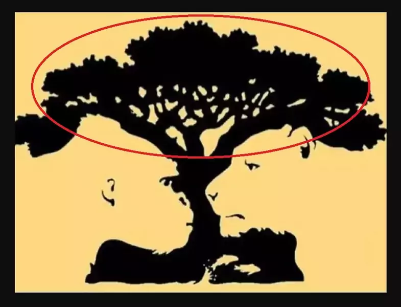 Co zobaczysz jako pierwsze? Drzewo / timesofindia.com