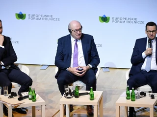 Mateusz Morawiecki, Phil Hogan, Władysław Kosiniak-Kamysz