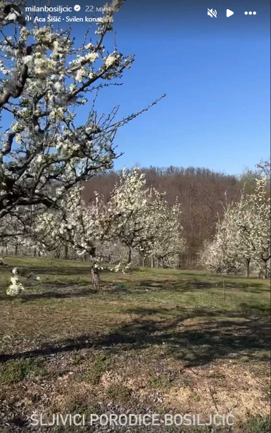 Milan Bosiljčić pokazao deo imanja