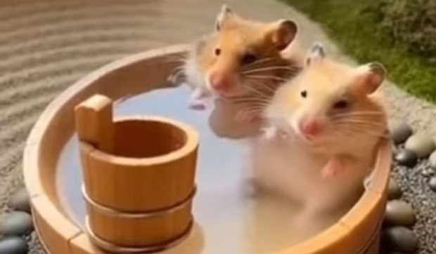 AI generisani snimak