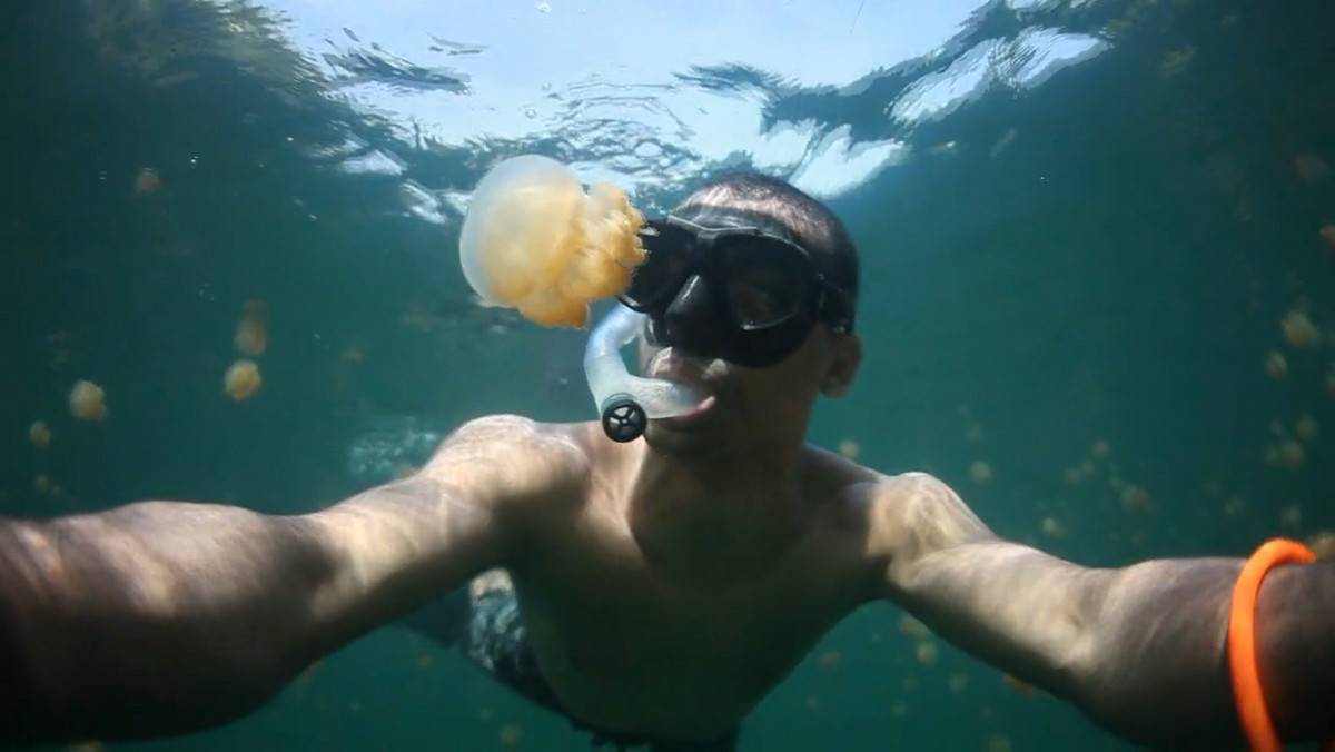Sarosh Jacob sfilmował Jezioro Meduz położone na jednej z wysp Palau, państewka na Oceanie Spokojnym. To miejsce jest znane jako raj dla amatorów nurkowania. Zobaczcie, dlaczego.