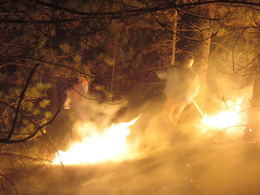 Pod vatrom se začas našlo 200 hektara šume