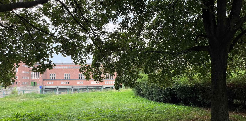 Zielona przystań przy Arsenale