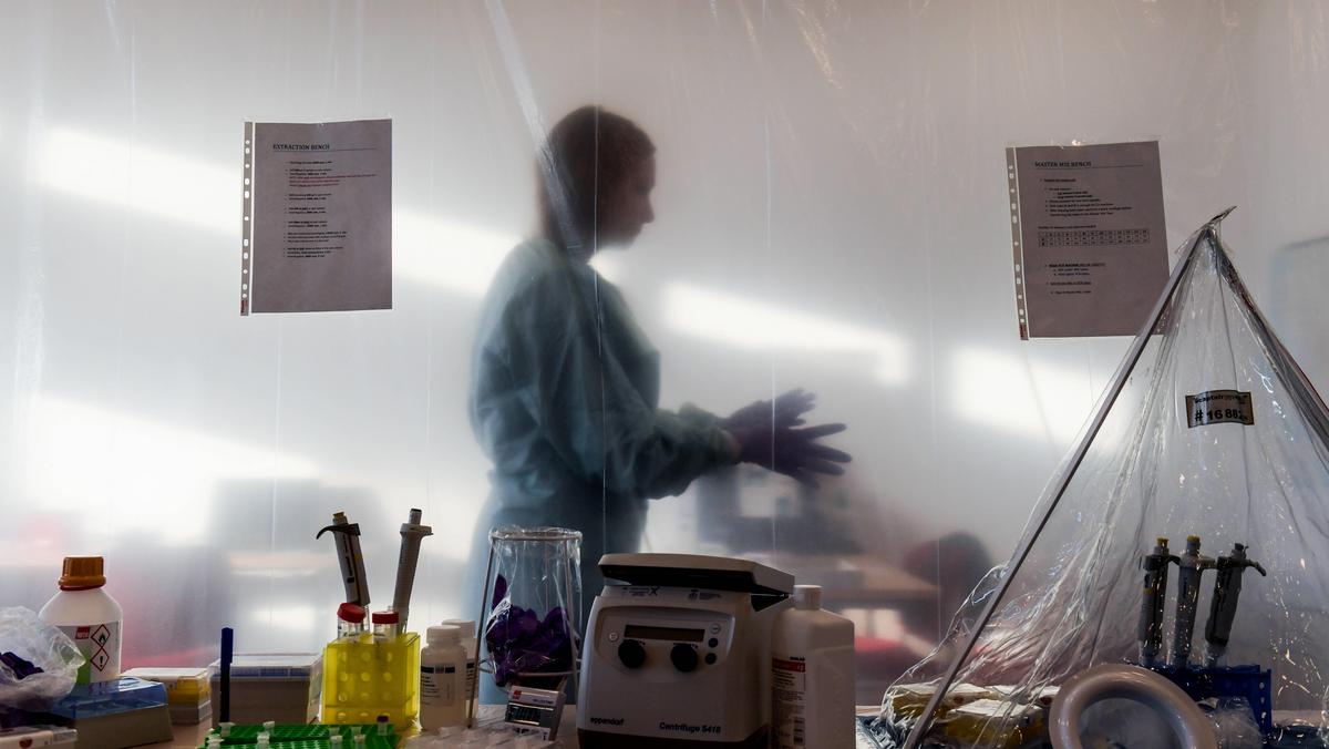 laboratorium ebola