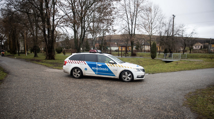 A rendőrök hamar elfogták az elkövetőket /Illusztráció / Fotó: Ringier-archívum