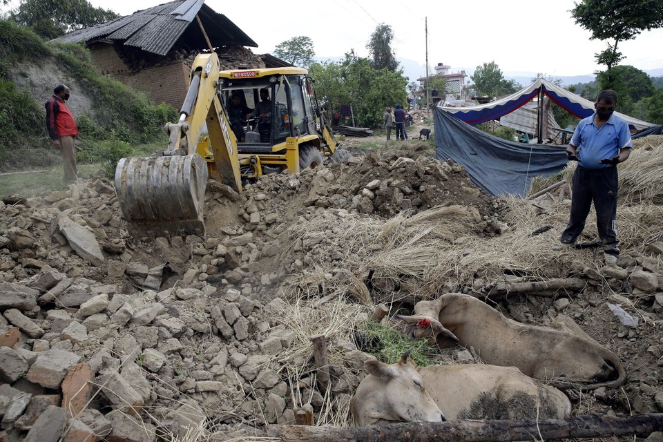 NEPAL EARTHQUAKE AFTERMATH (Nepal earthquake)