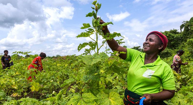 Promoting-women-economic-empowerment-in-West-and-Central-Africa