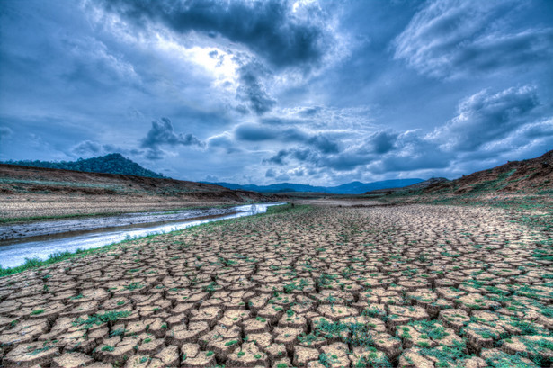 Dziurawe jak polityka klimatyczna. Jest pewne zjawisko ekonomiczne...