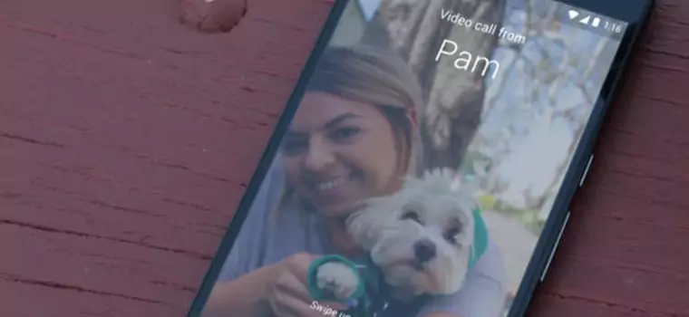 Google Duo dostępny w polskich sklepach z aplikacjami