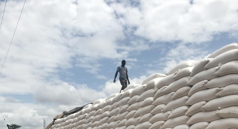 Truck carrying sacks of maize