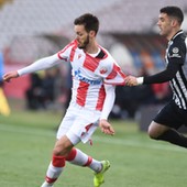 Fk Crvena Zvezda Blic Sport