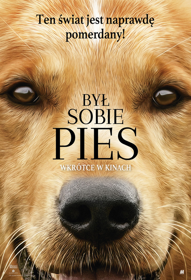 "Był sobie pies"