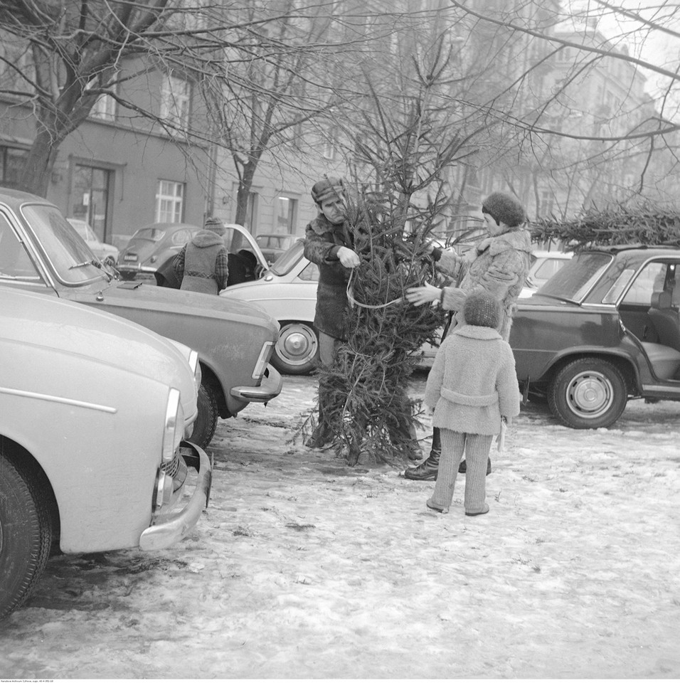 Sprzedaż choinek w Warszawie. W tle kamienice przy ul. Polnej 50 i 48 (1976 r.)