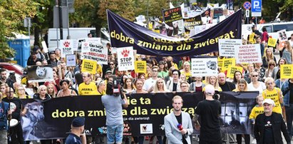 Wielka demonstracja w obronie zwierząt