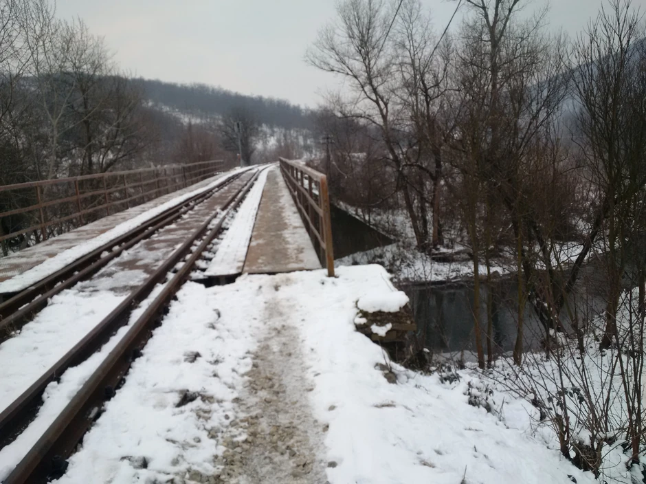 Ovaj most je čoveku bio jedini put do kuće