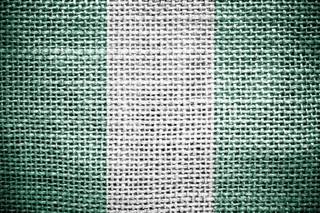 Prezydent Nigerii: Boko Haram została technicznie pokonana