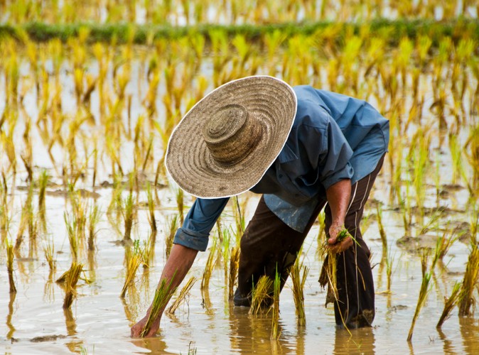 Przez cywilizację nasza dieta jest gorsza