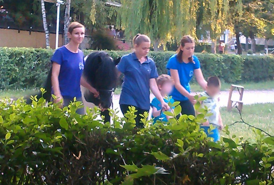 Stefan na hipoterapiji