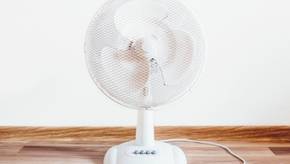 Effizient und leise: Standventilatoren ab 20 Euro im Vergleich