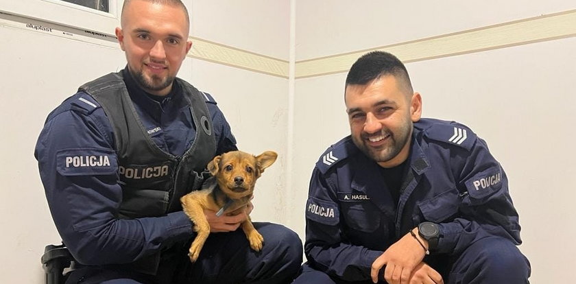 Był wychudzony, w zdewastowanym mieszkaniu i trząsł się z zimna. Policjanci uratowali psa, którego właściciel zostawił samego na wiele dni!
