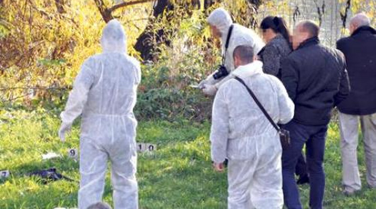 Romániában is a soroksári nő gyilkosai ölhettek