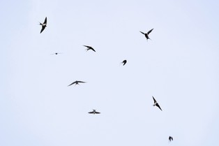 Nie tylko wygrana opozycji. Trzy krzepiące obserwacje z wyborów 2023 [OPINIA]